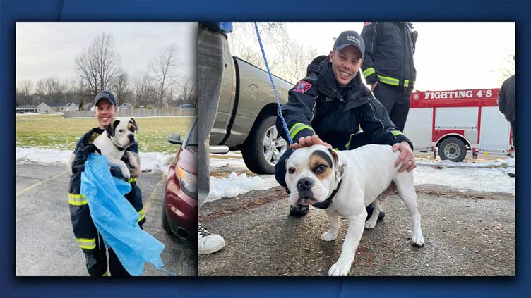 Firefighters rescue dog from Lake Erie in Ohio