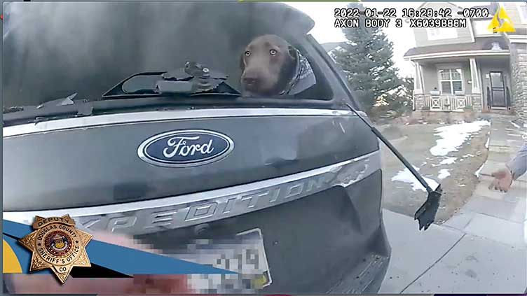 Colorado deputy rescues pup from burning SUV