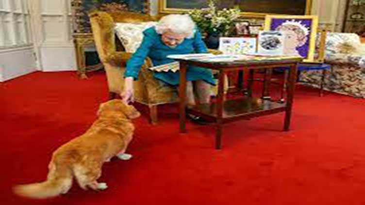 Queen's canine gate-crashes as she views mementoes of reign
