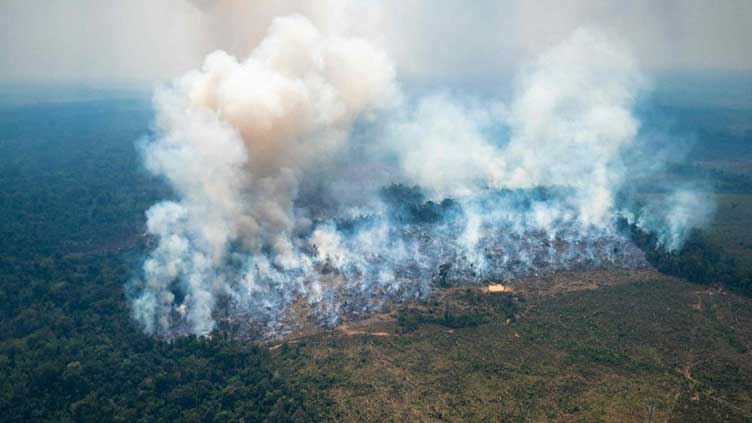 Record heat, forest fires in Colombia's Amazon in January