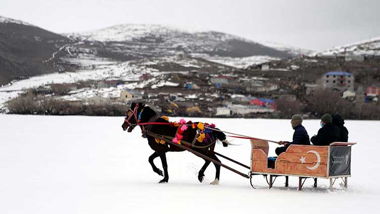 One-horse open sleigh ride across frozen Turkish lake
