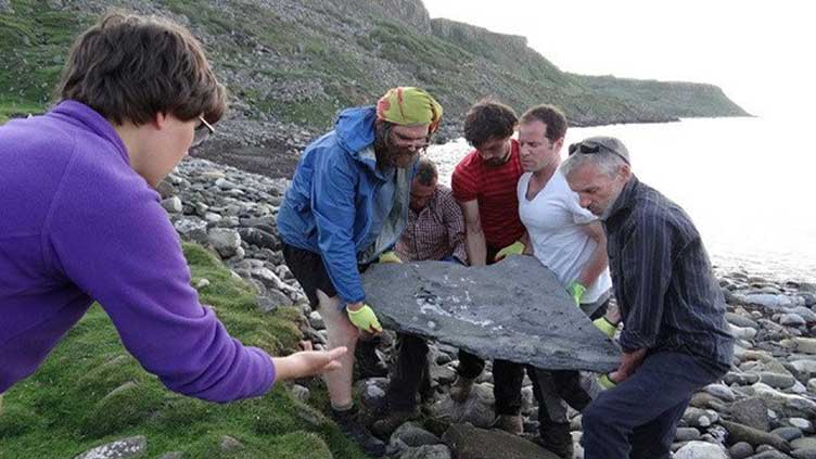 Scottish fossil of flying reptile leaves scientists 'gobsmacked'