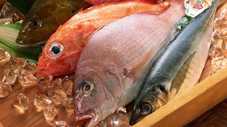 Seafood exports increase by 5.08% in 7 months