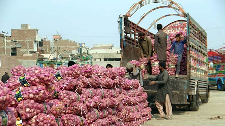 Onion prices drop to three-year low