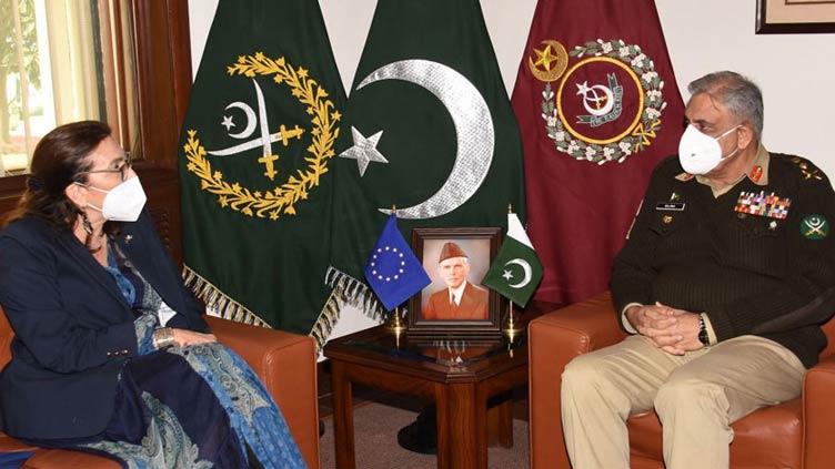 EU envoy Kaminara lauds Pakistan's efforts for regional stability