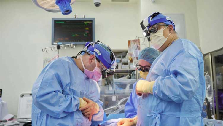 Two pig heart transplants succeed in brain-dead recipients