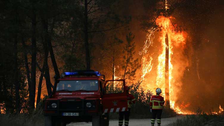 Scorching heat wave sparks wildfires in Europe