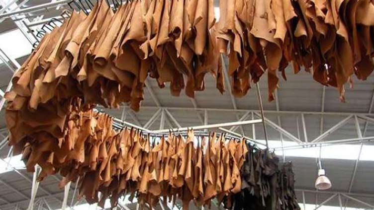 Leather manufactures exports witness 10.43 pc increase