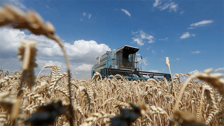 Ukraine grain deal expected as Russian gas flows resume