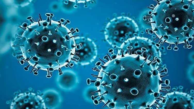 Study shows high antibody response to coronavirus infection after vaccination, does not assess immunity without vaccination