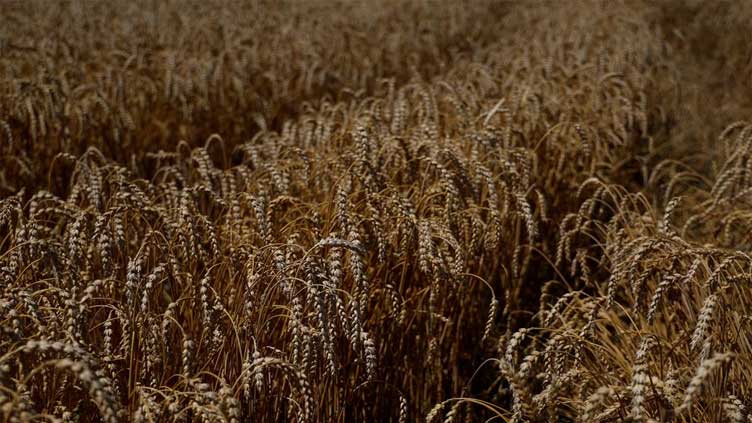 Russia says grain deal stands despite missile attack on Ukraine's Odesa