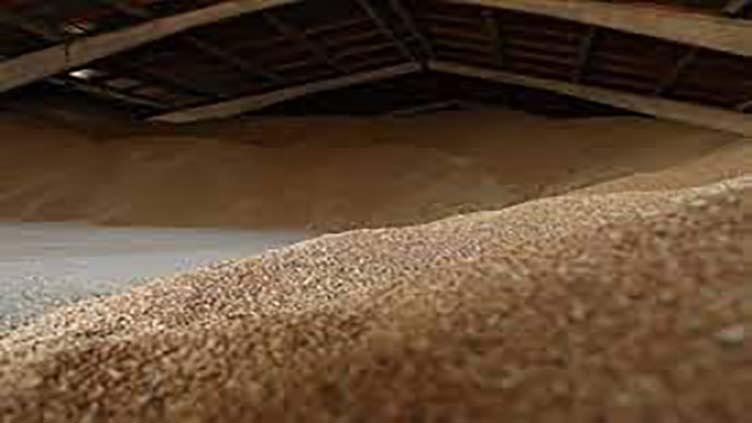  First grain shipments to leave Ukraine 'this week': minister