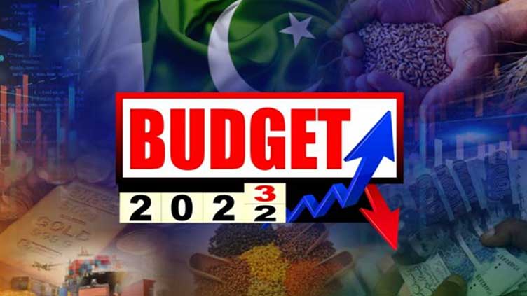 Budget 2022-23: Read full text of Miftah Ismail's speech in NA