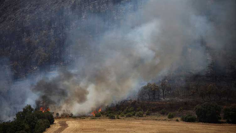 Wildfires ravage woods in Spain's Catalonia as heat-wave bites