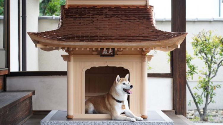 This $150,000 miniature Japanese palace may be world's most exclusive dog house