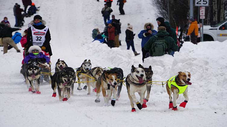 Climate change, COVID loom over Alaska's 50th annual Iditarod Sled Dog Race