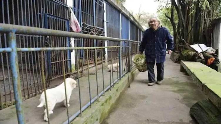 Chinese animal lover devotes his life to 'World's loneliest zoo'