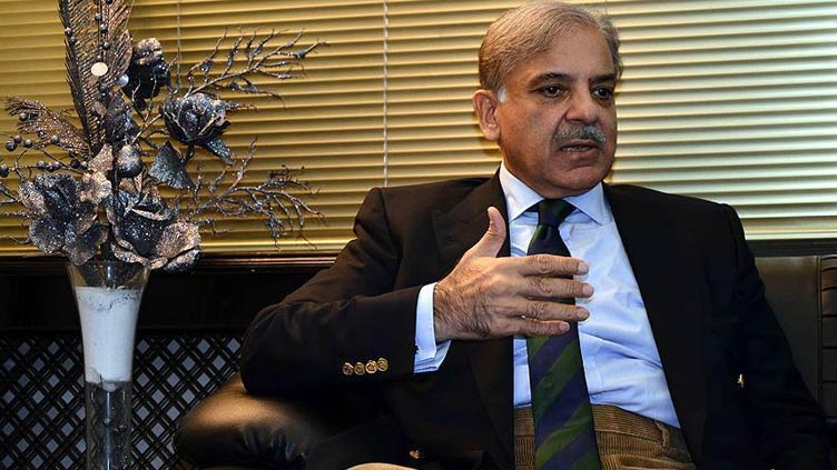 Shehbaz Sharif floats idea of national govt for next 5 years