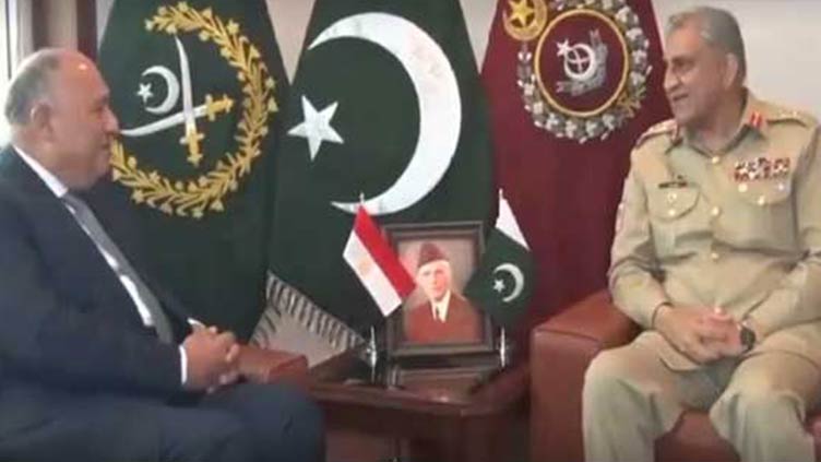 Egyptian, Uzbek FM meet COAS, discuss regional security situation