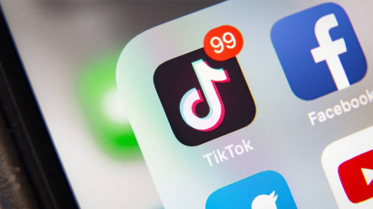 Facebook's Meta funded attack campaign against TikTok: report