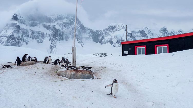 World's most remote post office advertises rare job - which includes counting penguins