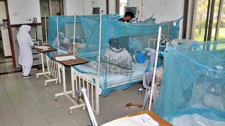 Sudden surge in Dengue cases in Karachi