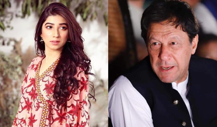 Mariyam Nafees thinks criticism against Imran Khan is 'selective'