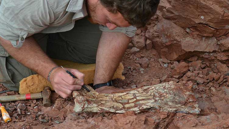 Ancient massive 'Dragon of Death' flying reptile dug up in Argentina