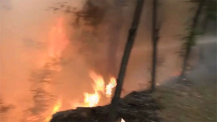 Five injured as fire erupts in jungle near Balakot