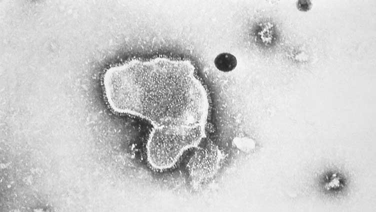  Strong RSV vaccine data lifts hopes after years of futility