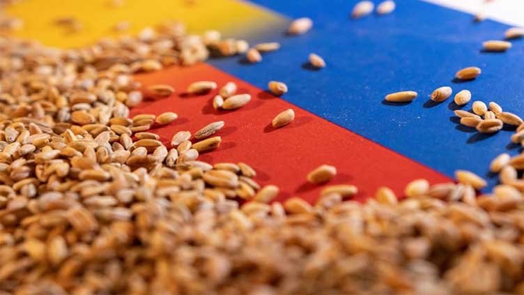  Russia says it resumes participation in Ukraine grain deal