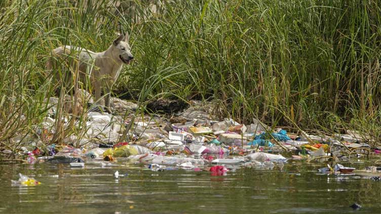  After six years, UN climate summit returns to Africa