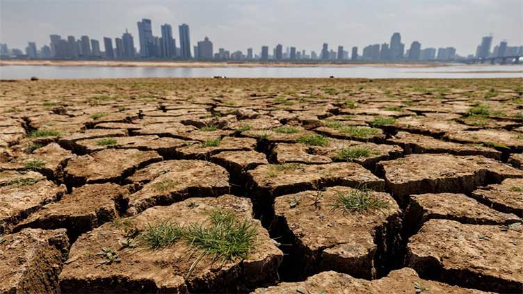 Dying lands: Farmers fight to save the 'skin of the Earth' - World