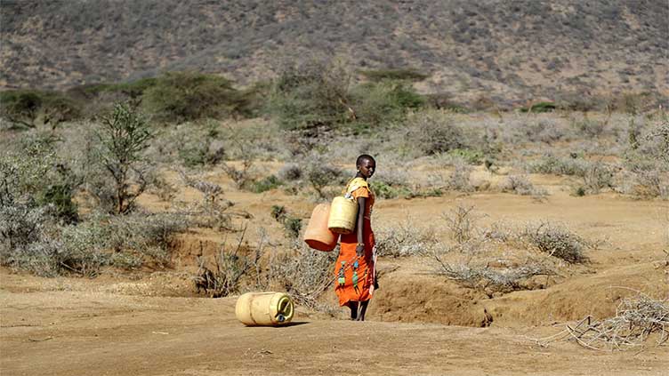 In brutal drought, Kenyan herders look for hope underground