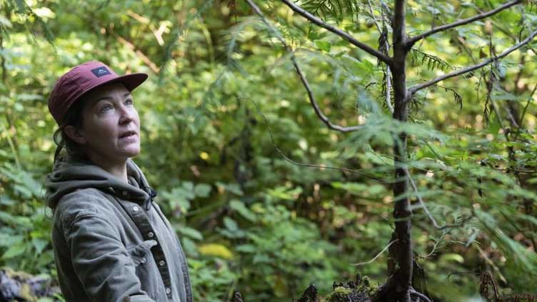  As climate change progresses, trees in cities struggle