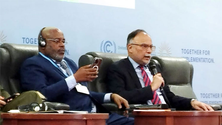 Ahsan calls for establishing global fund for building climate resilience infrastructure