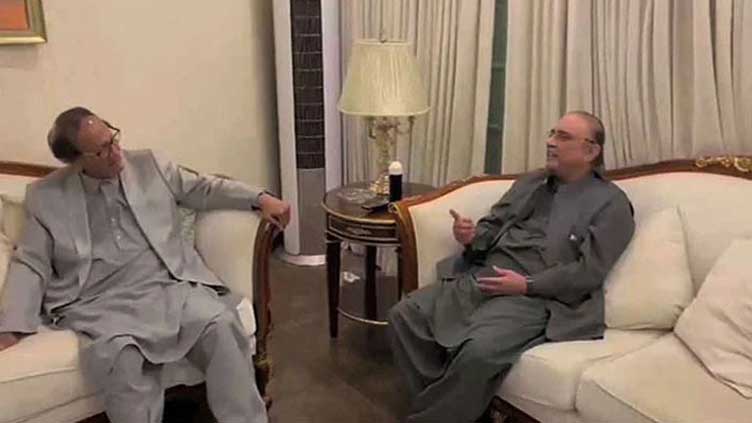   Asif Zardari, Chaudhry Shujaat discuss country's political situation