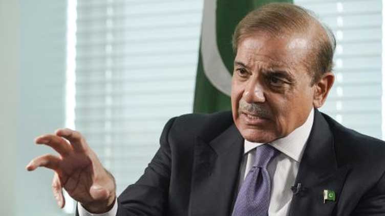 PM Shehbaz eyes collective research, pooling of resources with Turkiye