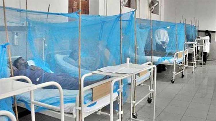 Dengue virus: Several cases reported across country including Punjab 