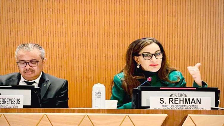 Need coalition of willing to support flood relief efforts: Sherry Rehman