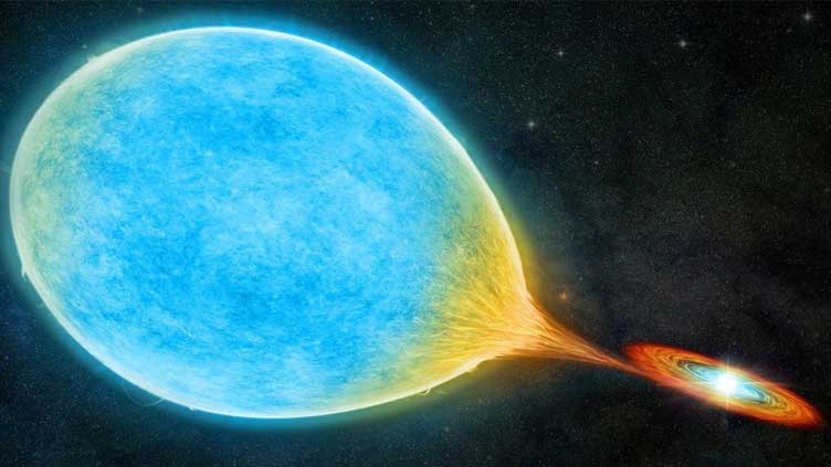  A cataclysmic' celestial couple gone wrong - a star eats its mate