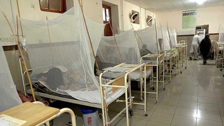  69 more infected with dengue virus in Rawalpindi