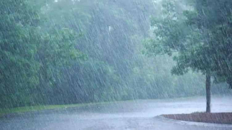 Rain, thunderstorm forecast in Punjab, upper parts of country