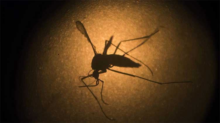 EU regulator recommends clearing Takeda's dengue vaccine