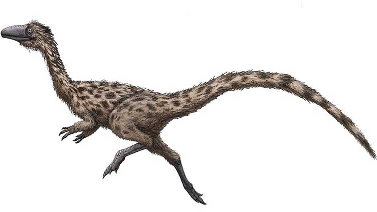 'Swift-footed lizard' named Massachusetts state dinosaur