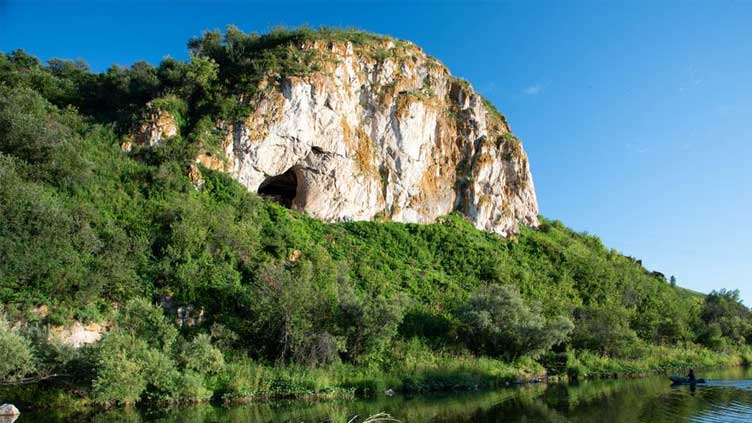  Genetic findings from Siberian caves give glimpse into Neanderthal life