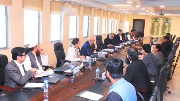  Govt accords priority to tap potential of IT sector: Ishaq Dar