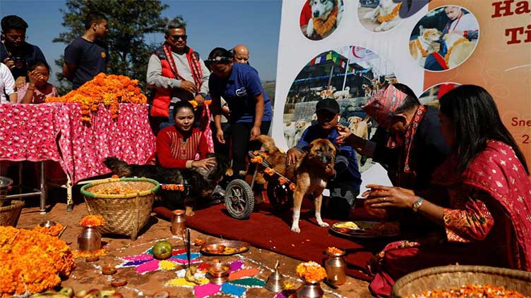 Dogs get their day at Hindu festival dedicated to them in Nepal