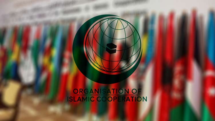 On Kashmir Black Day, OIC reaffirms 'full solidarity' with Kashmiri people