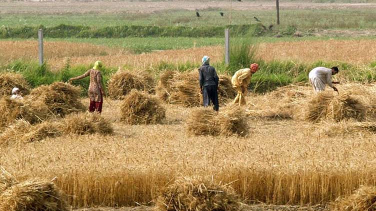 Agri sector requires $3.97b to recover from flood damages: report